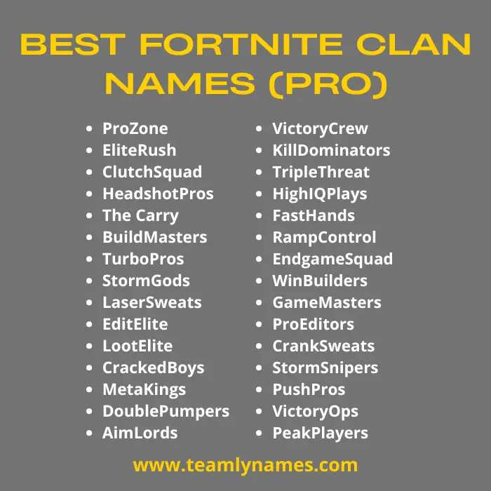 Fortnite Clan Names (Pro)