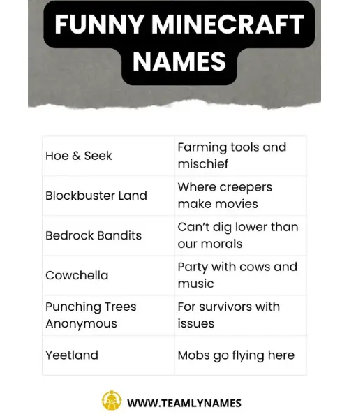 funny Minecraft Name ideas