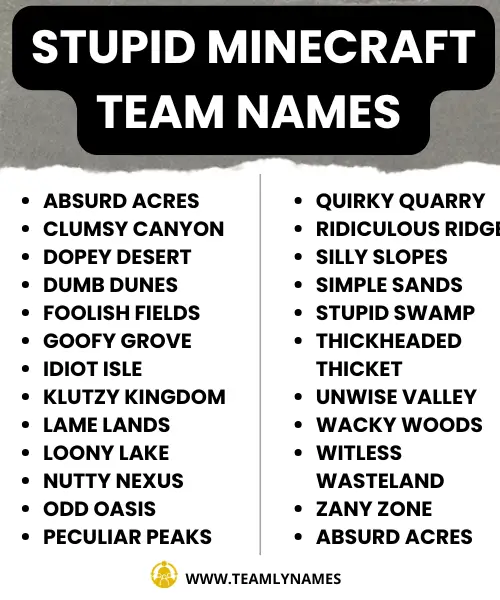 stupid Minecraft team Name ideas